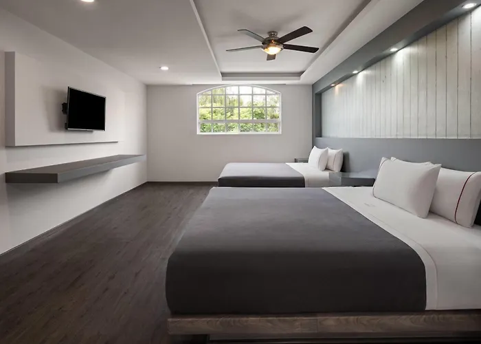 Hotel Mx Congreso Cdmx, Trademark Collection By Wyndham
